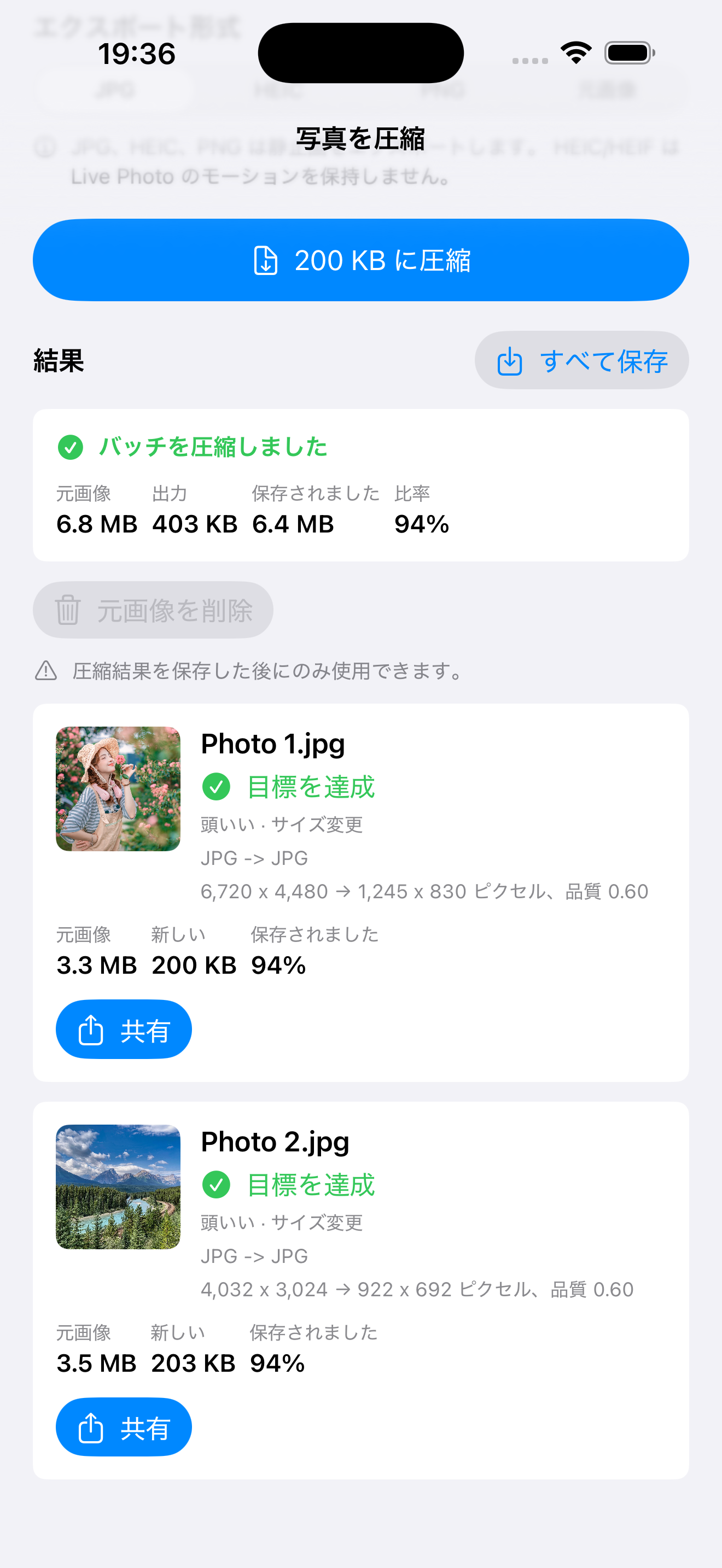 一括処理と共有